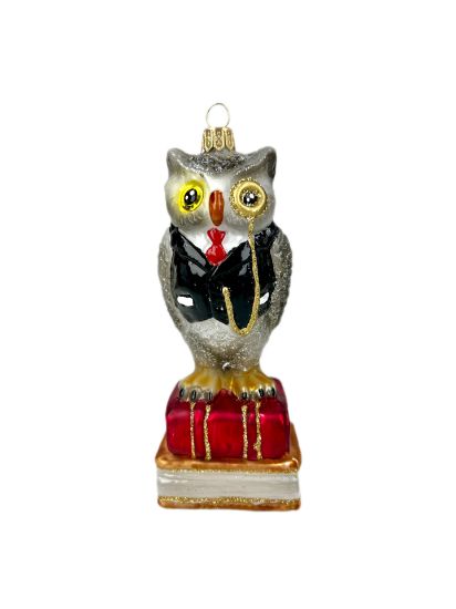 Obrazek Sowa na książce 0514X