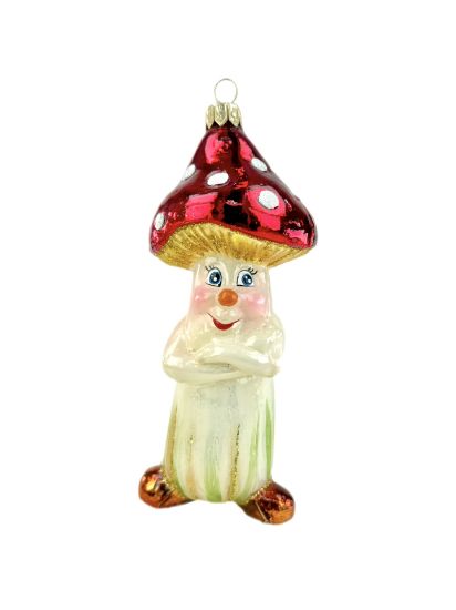 Obrazek Bajkowy grzyb 2496X