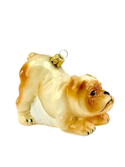 Picture of Bulldog 2241X