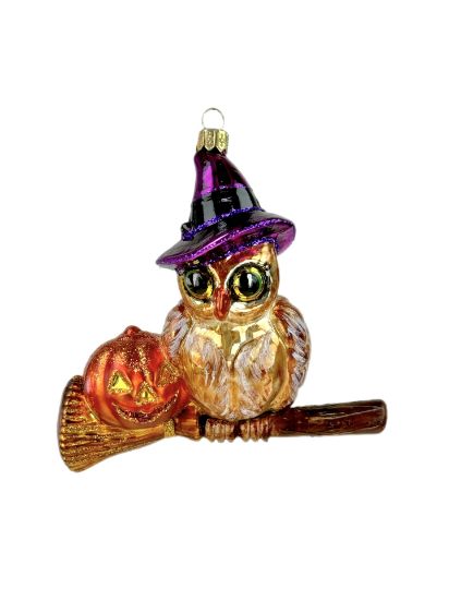 Obrazek Amazing owl 3001X